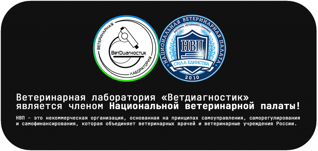 Баннер НВП 2026 копия3.png