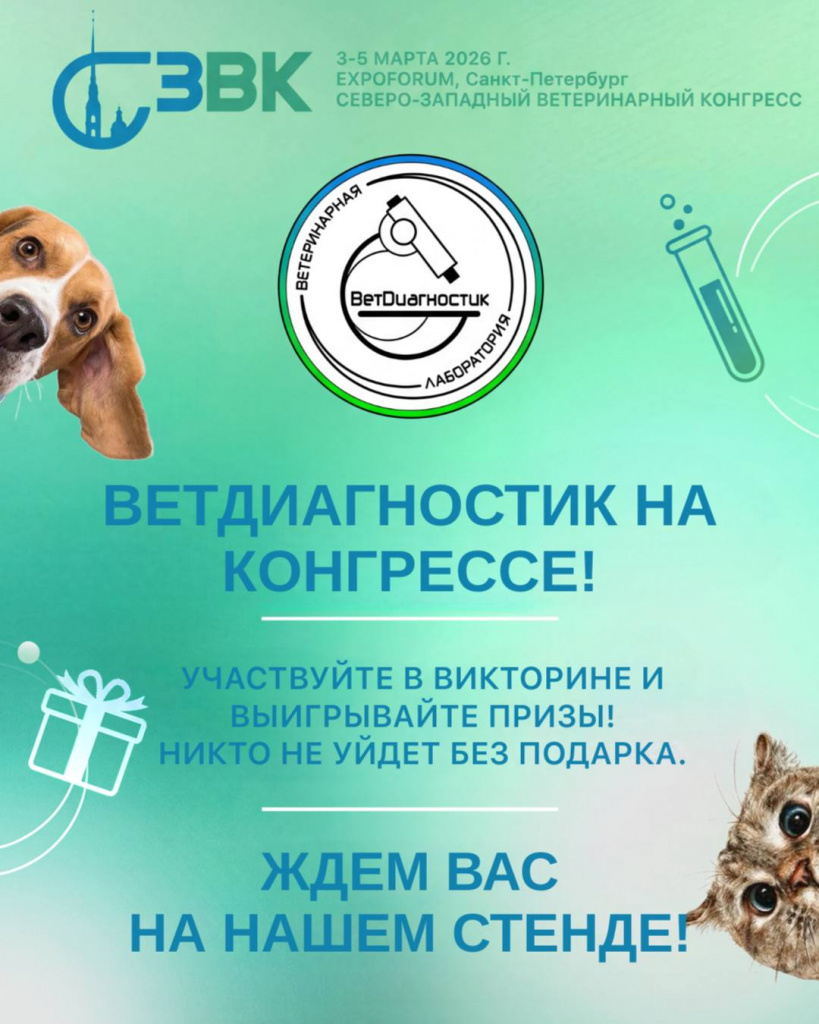 СЗВК 2026.jpg