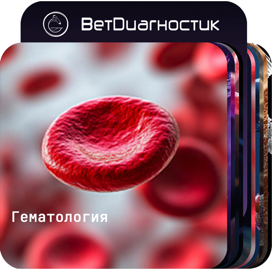 Более 1500.png